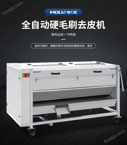 生姜果蔬清洗加工毛辊清洗去皮机 去皮设备